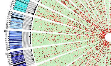 A complex data graph